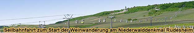 Seilbahn von R�desheim durch die Weinberge zum Niederwalddenkmal